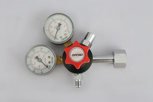 Primary Regulator